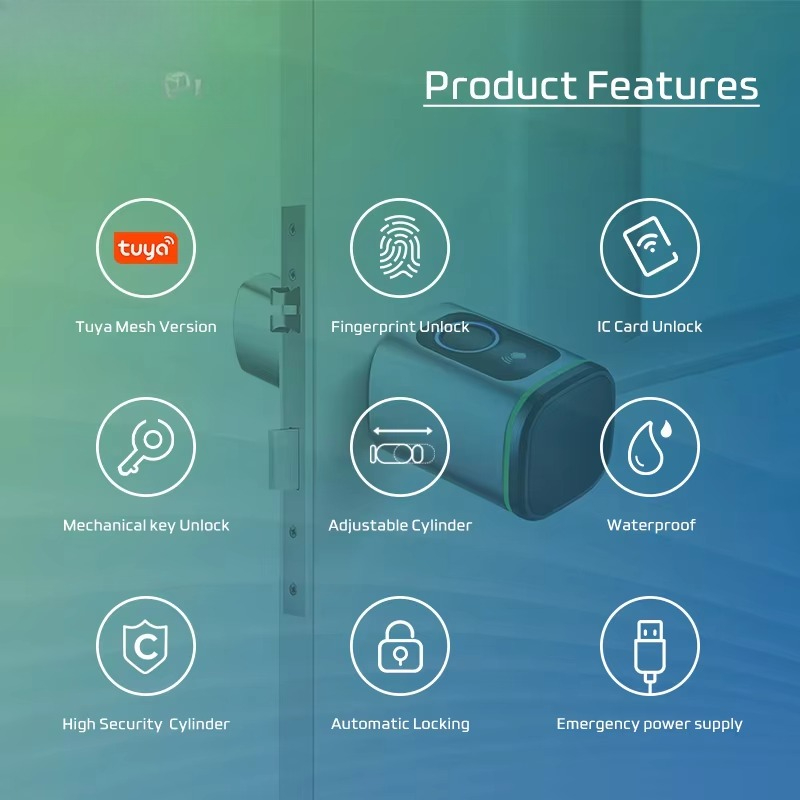 Tuya Wifi Smart Cylinder Door  - Airbnb Smart Home 评论和价格
