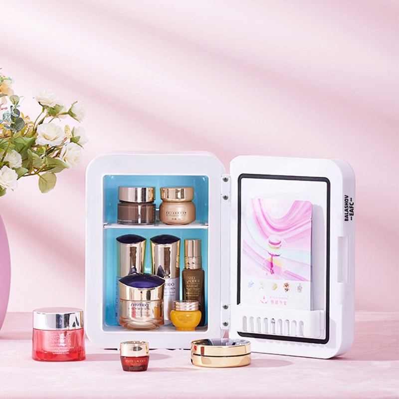 4L Mini Makeup Fridge WIth LED - Smart Home Retrofit 评论和价格