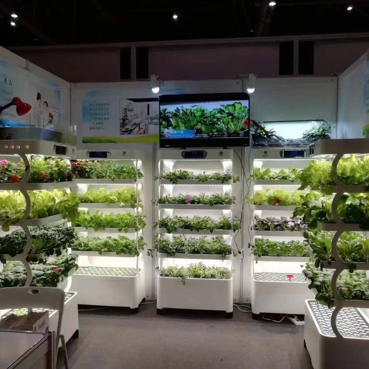 Intelligent Hydroponic Growing - Smart Home System 评论和价格