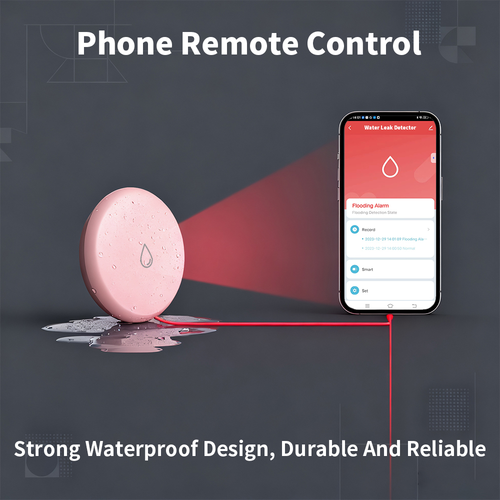 Zigbee Leakage Sensor LED Imme - Alexa Compatible Bulb 评论和价格