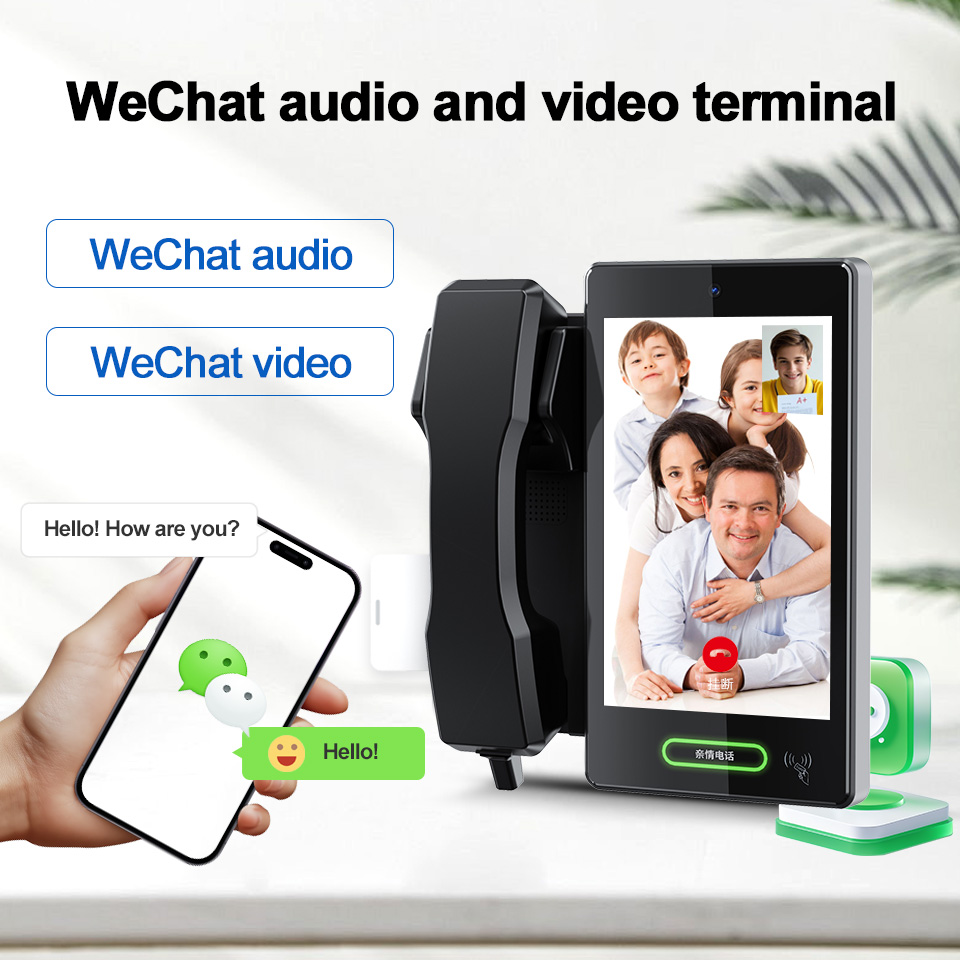 Leshun LSV4000 12V Wall Mount  - Smart Home System 评论和价格