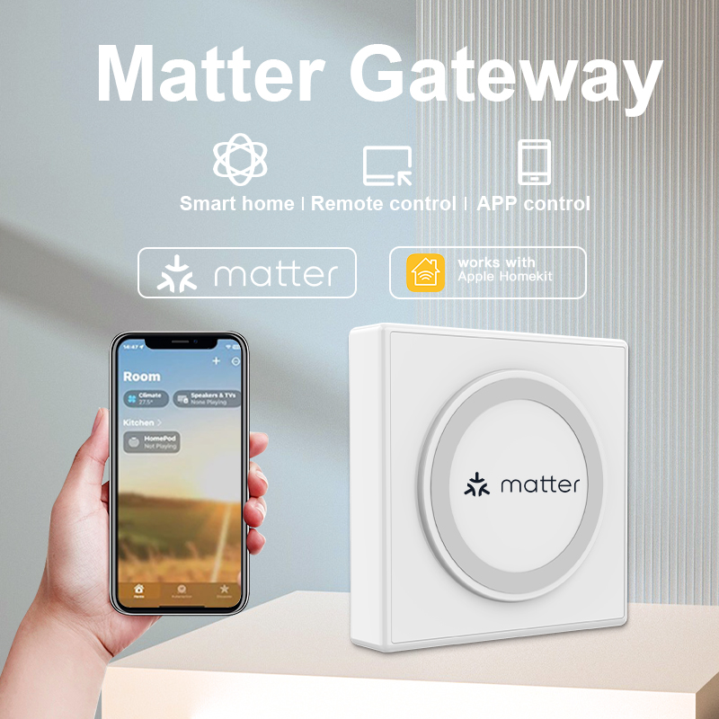 Matter Gateway Hub Homekit Tuy - Smart Home Wifi Hub 评论和价格