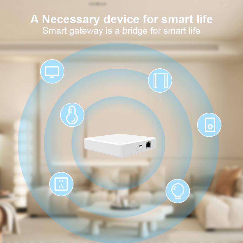 Matter Gateway Hub Homekit Tuy - Smart Home Wifi Hub 评论和价格