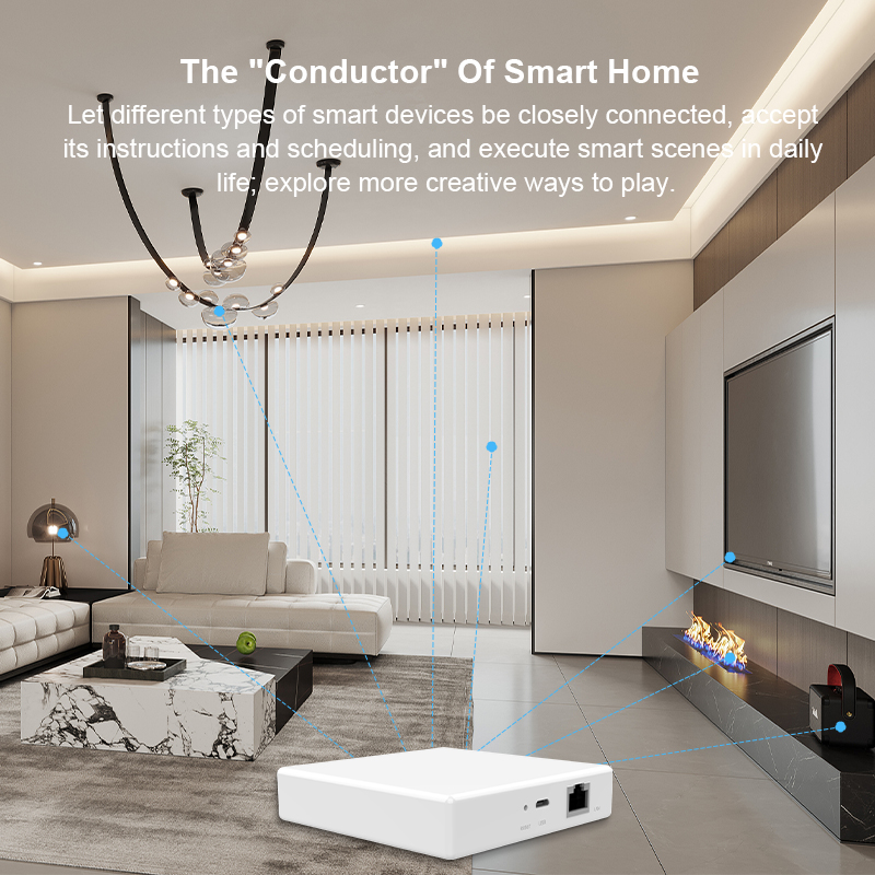 Matter Gateway Hub Homekit Tuy - Smart Home Wifi Hub 评论和价格