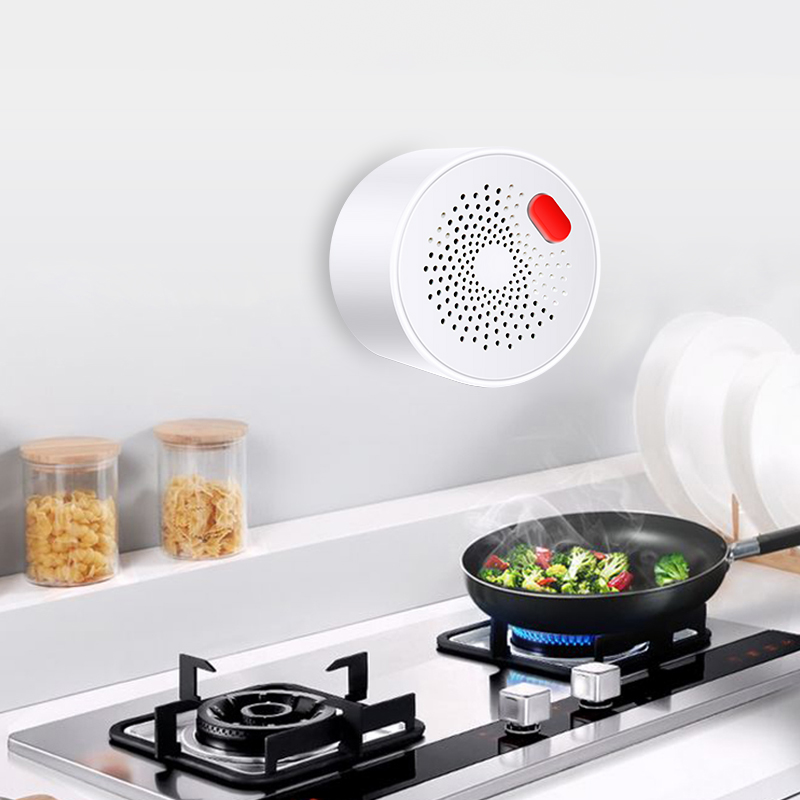 Tuya Smart Home Wifi Natural G - Smart Home Blog 评论和价格