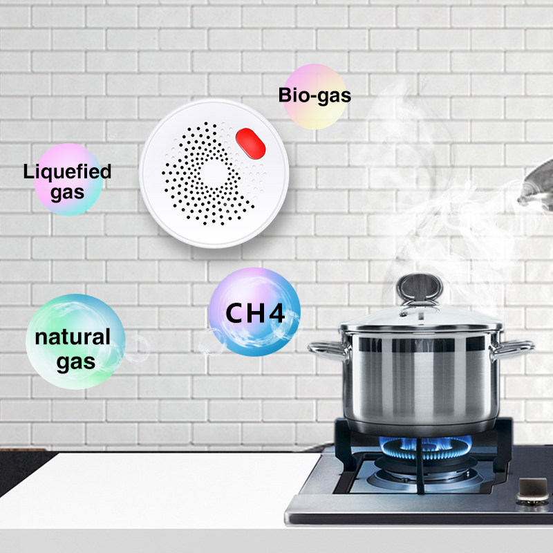 Tuya Smart Home Wifi Natural G - Smart Home Blog 评论和价格