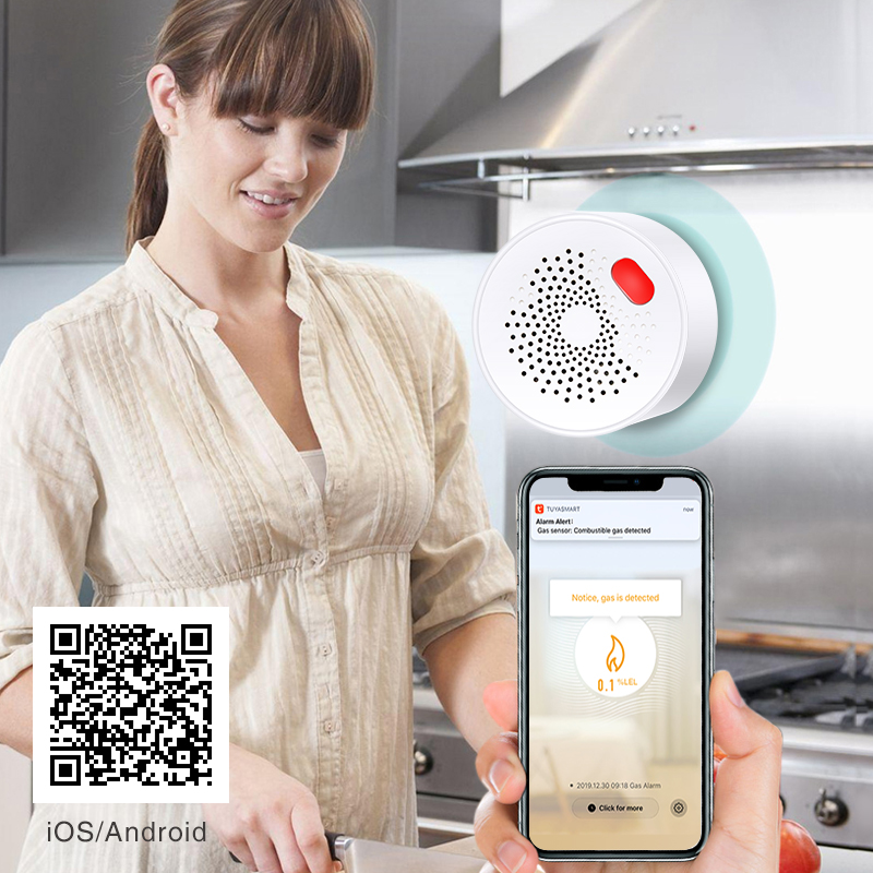 Tuya Smart Home Wifi Natural G - Smart Home Blog 评论和价格